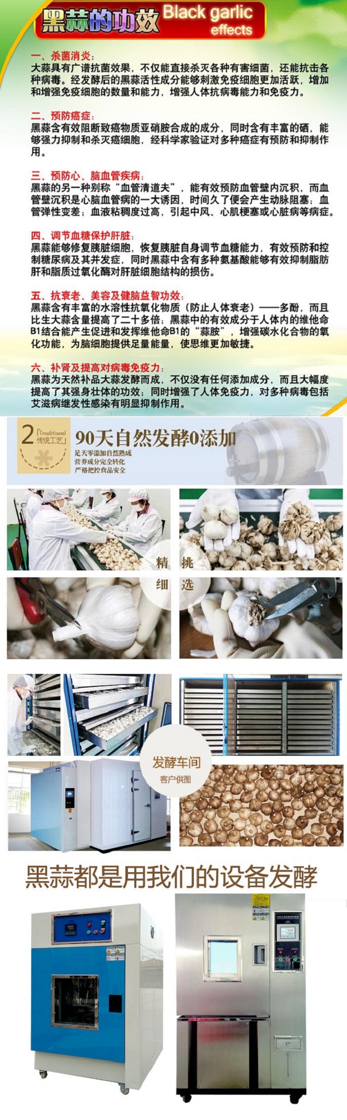 大型黑蒜發酵機